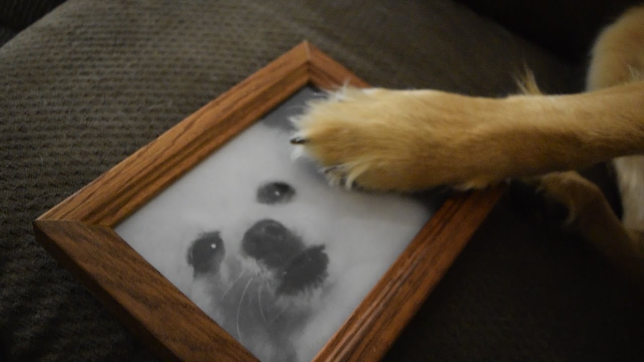 maxresdefault.jpg