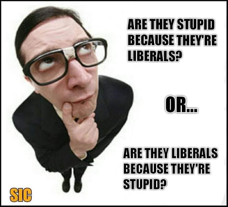 stupid-liberals.jpg