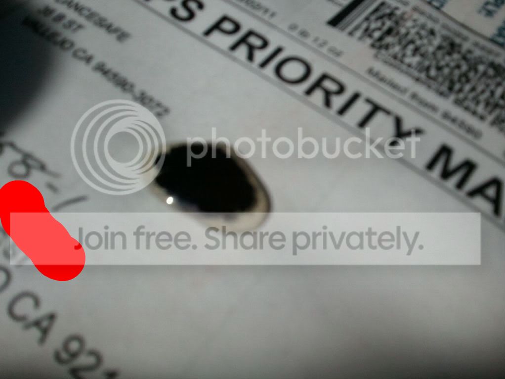 CameraFun-2011-03-04143705.jpg