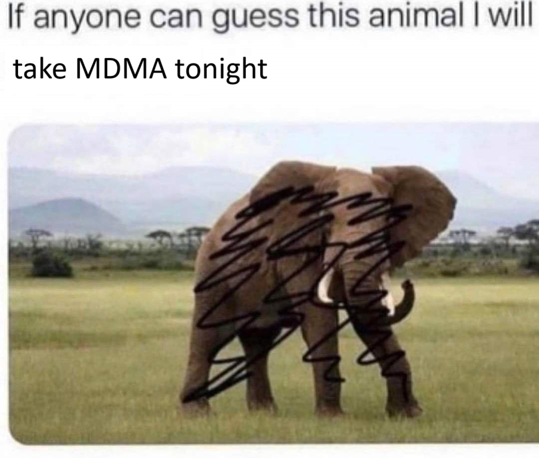 e0eeYpm.jpeg