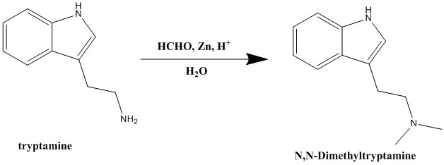 Methylation.jpg