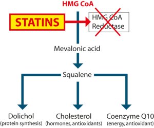 statins.jpeg