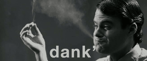 tumblr_lkyua8UPIY1qi60odo1_500.gif