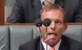 giphy.gif