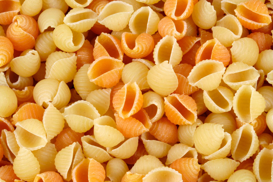 Pasta_Shells_by_somadjinn.jpg