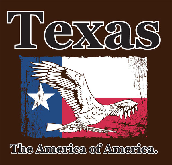 Texas_large_grande.jpg
