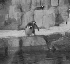 KDp061B.gif
