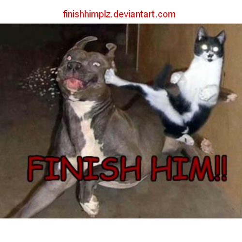 finish_him_lol_by_finishhimplz-d5culk1.jpg