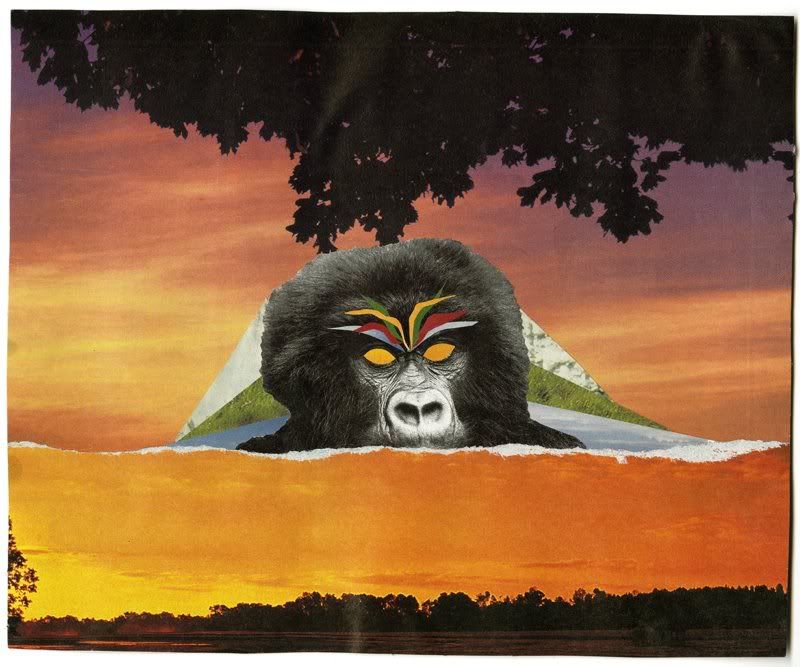 gorilla.jpg