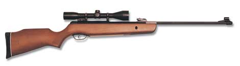 Gamo-hunter-440.jpg