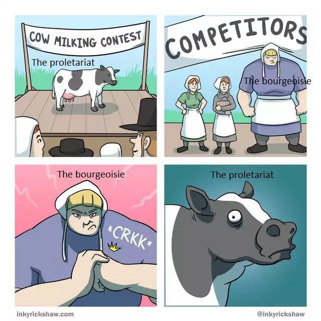 xvdxqy9pi5x41.jpg