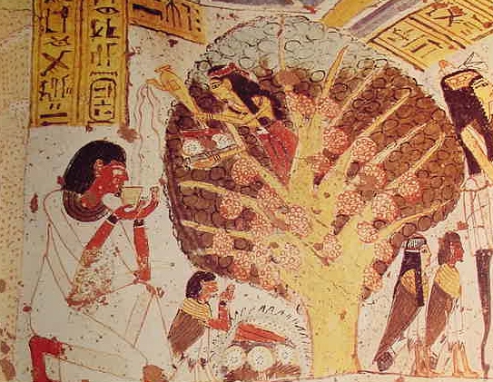 hathornutscyamoretreegoddess.jpg