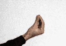 tenor.gif