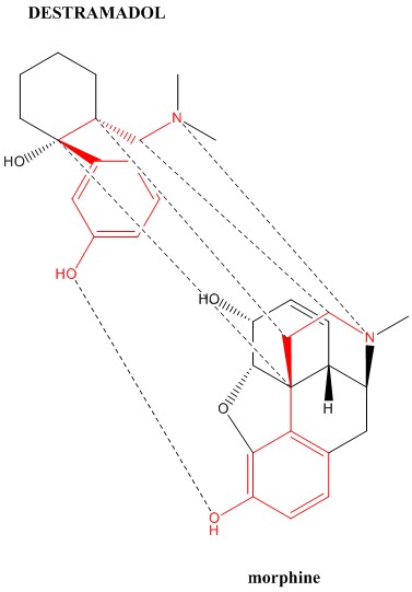 Destramadol-morphine.jpg