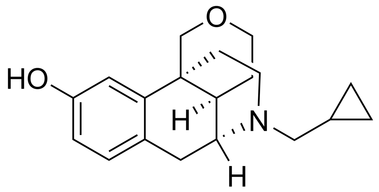 1280px-Proxorphan.png