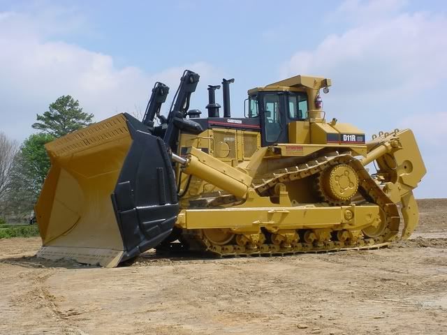 bigCat1.jpg