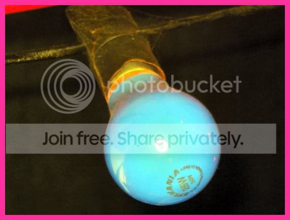 BlooLight2.jpg