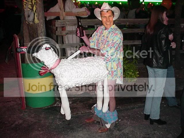 XcidiumSheep.jpg