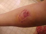 th_2012-03-09152941.jpg