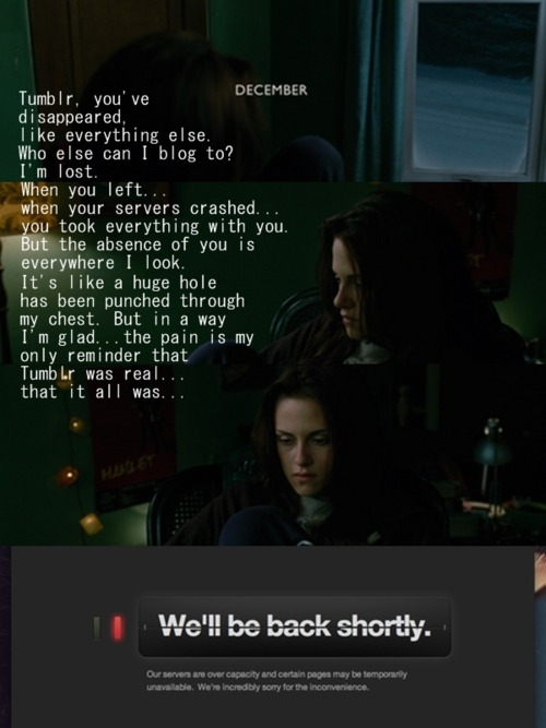 tumblr_ld4fyq2KqZ1qzepa2o1_500.jpg