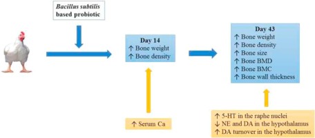 www.sciencedirect.com