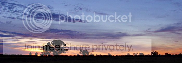 DSC01277bs.jpg