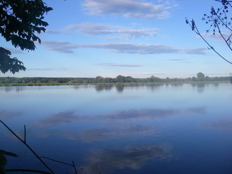 IMGP0705.jpg