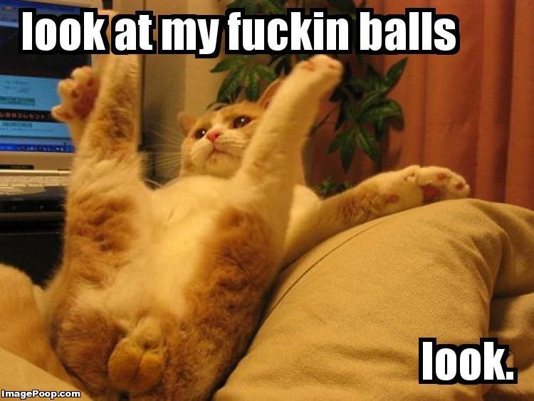 look_at_my_fuckin_balls.jpeg
