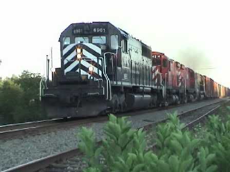 train3.jpg