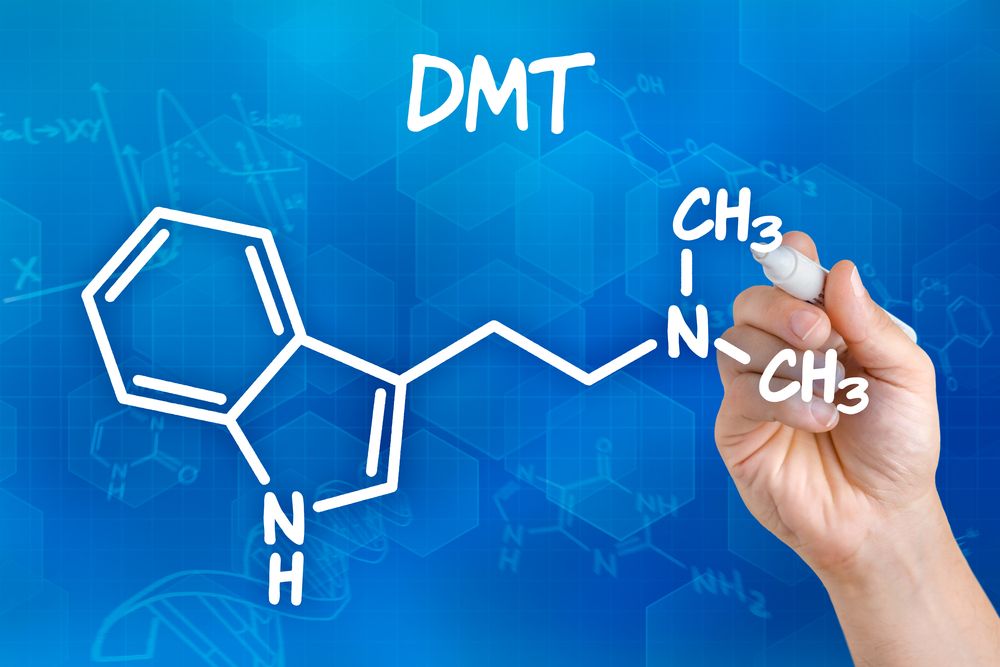 DMT-1.jpg