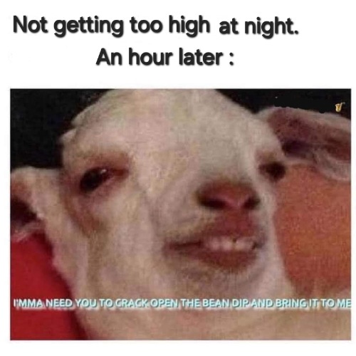 UVgD74N.jpeg