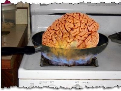 fried-brain.jpg