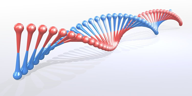 neurosciencenews.com
