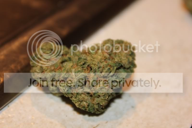 blackberrykush2.jpg