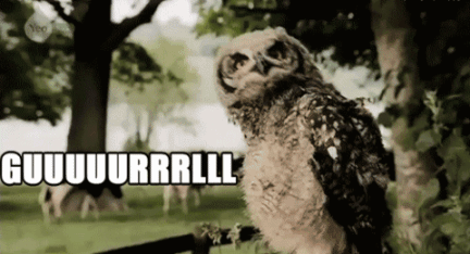 EBM0vL6.gif