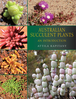 img_au_succulents.jpg