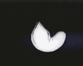 tumblr_mm4kyjcSSW1s8fcpbo1_400.gif