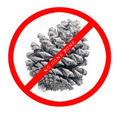 pinecone.jpg