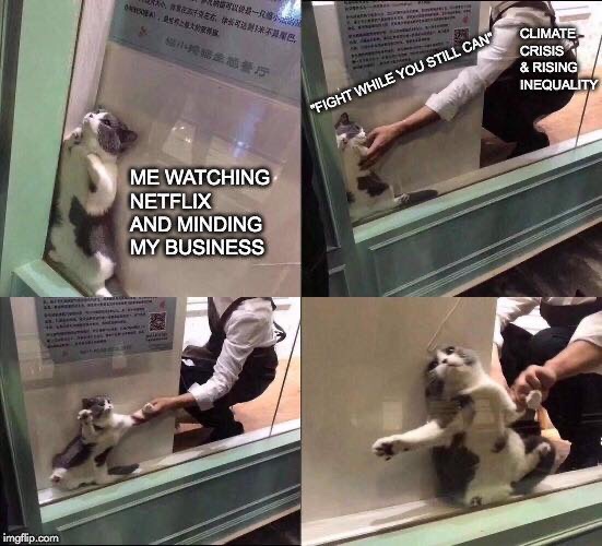 NwaZKjW.jpg
