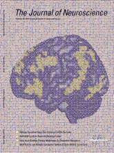 www.jneurosci.org