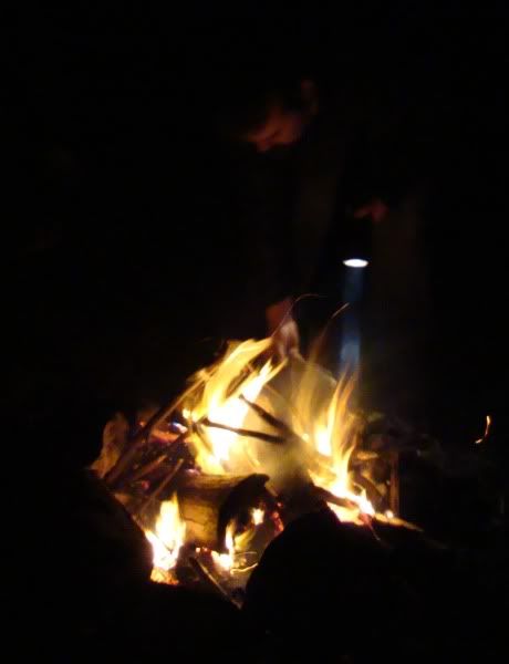danfire.jpg