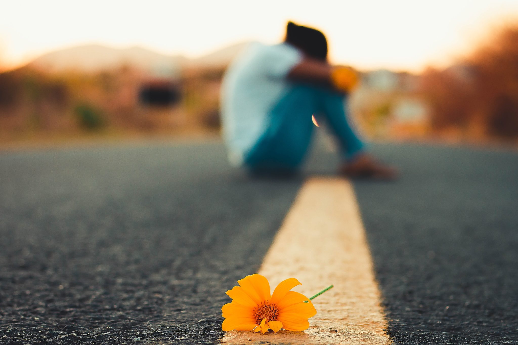 psychedelicreview.com