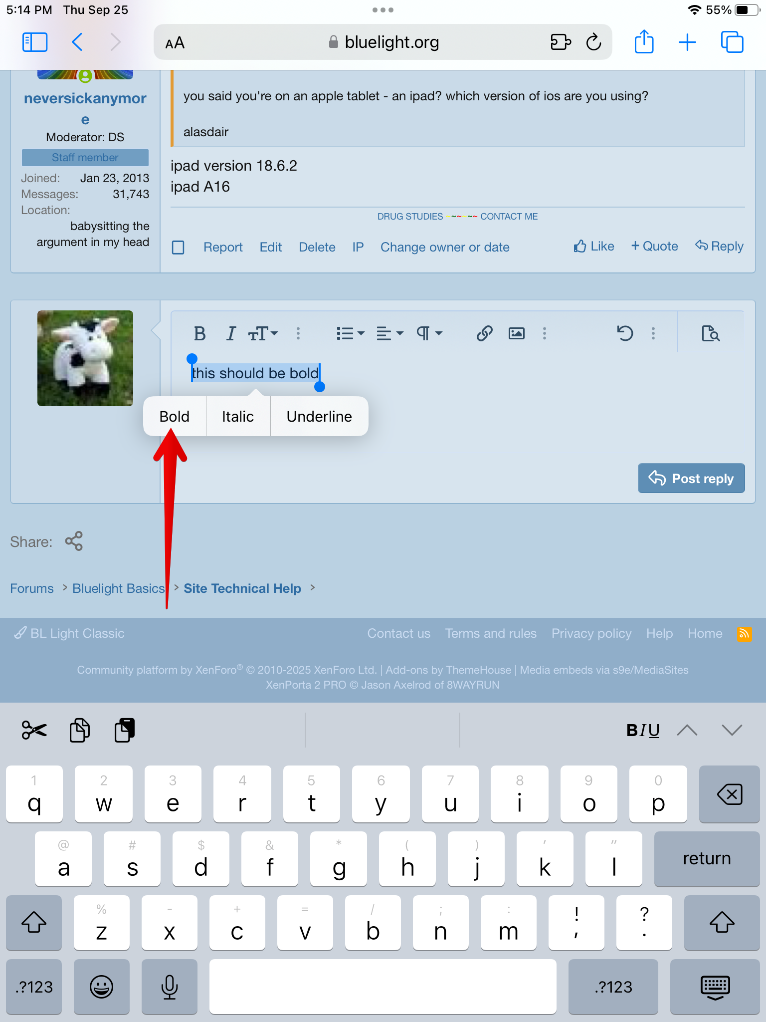 bltextformatting02.png