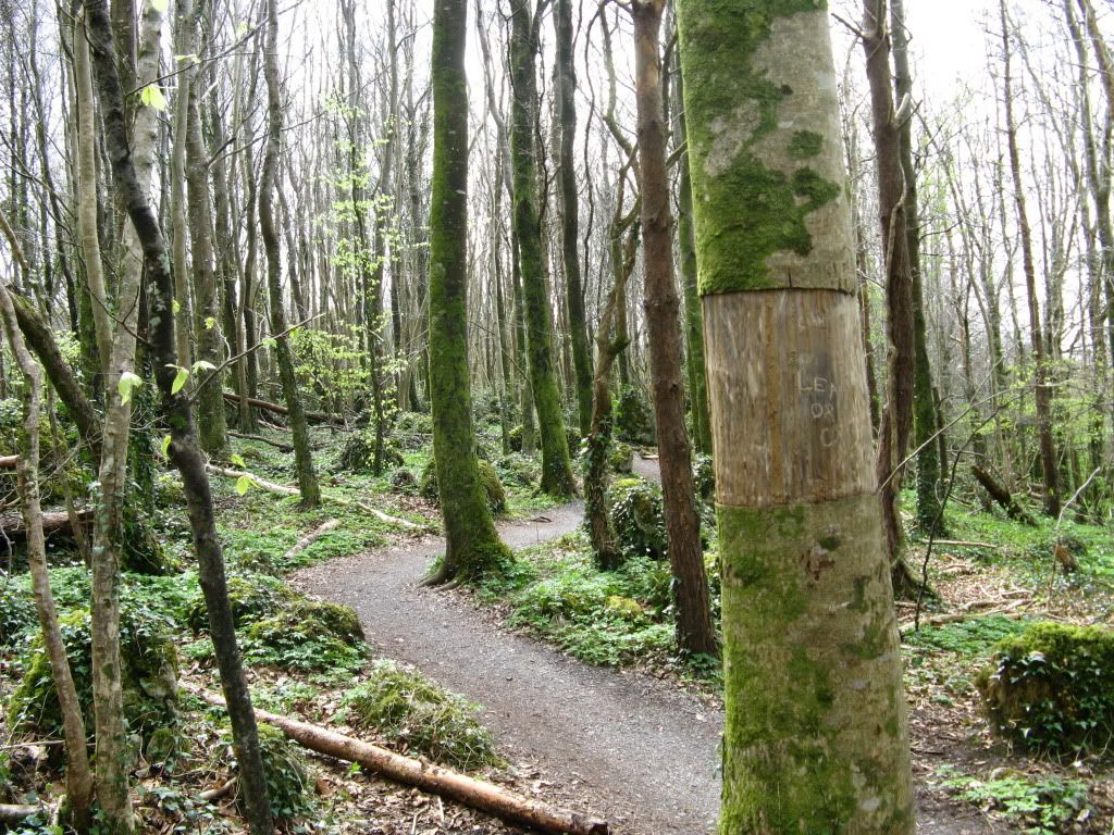 Wood.jpg