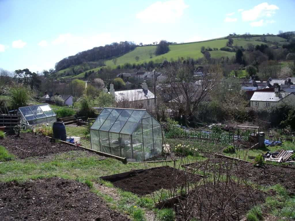 allotmentapril2012008.jpg