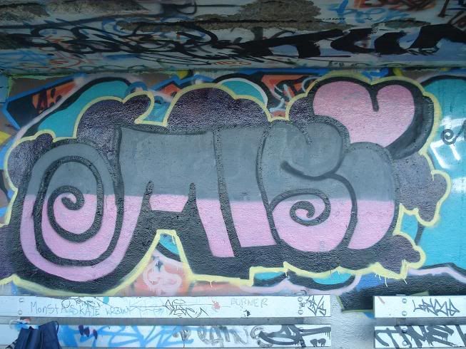 DSC02334.jpg