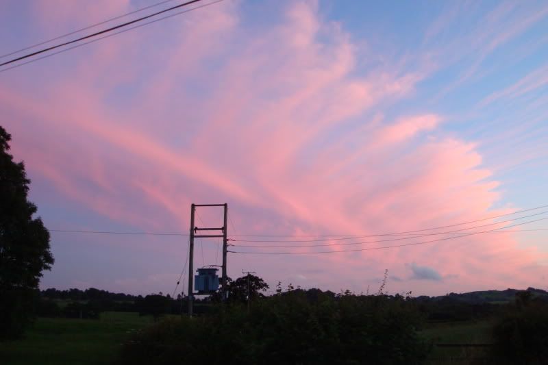 DSC02268.jpg