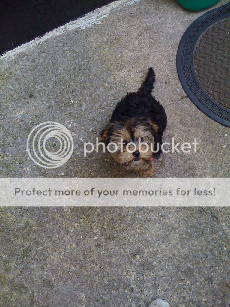 IMG_0083.jpg