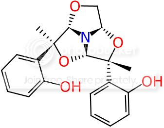 download4.png