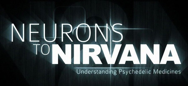 neurons-to-nirvana-logo.jpg